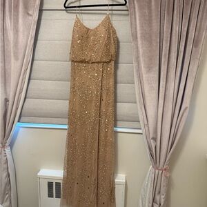 Adrianna Papell Tan Evening Dress